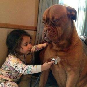 Untitled attachment 00309