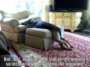 Untitled attachment 00357