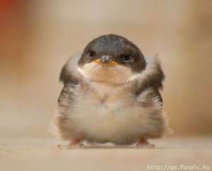 Untitled attachment 00028