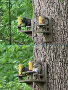 Untitled attachment 00034