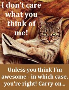 1185864_369313103198261_452295182_n