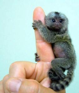 1eadfc4e-d669-4ea7-ae4d-4afa8ae9edaf-1