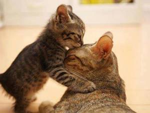 a97296b6-e9b5-409a-a600-f539fa8e1829-1