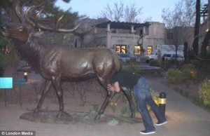 article-2386882-1B3308EC000005DC-481_634x412